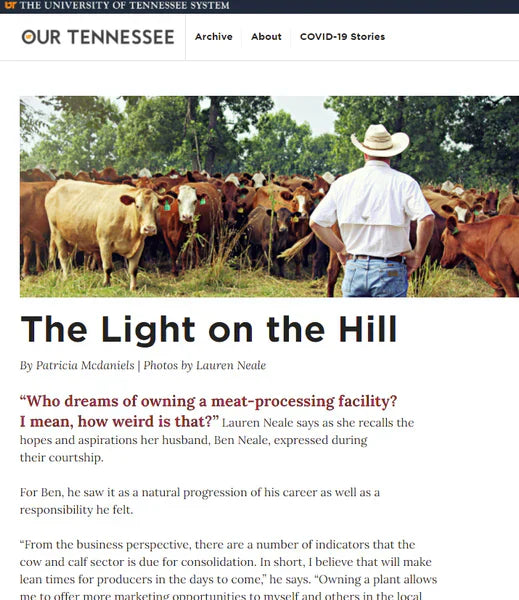 The Light on the Hill